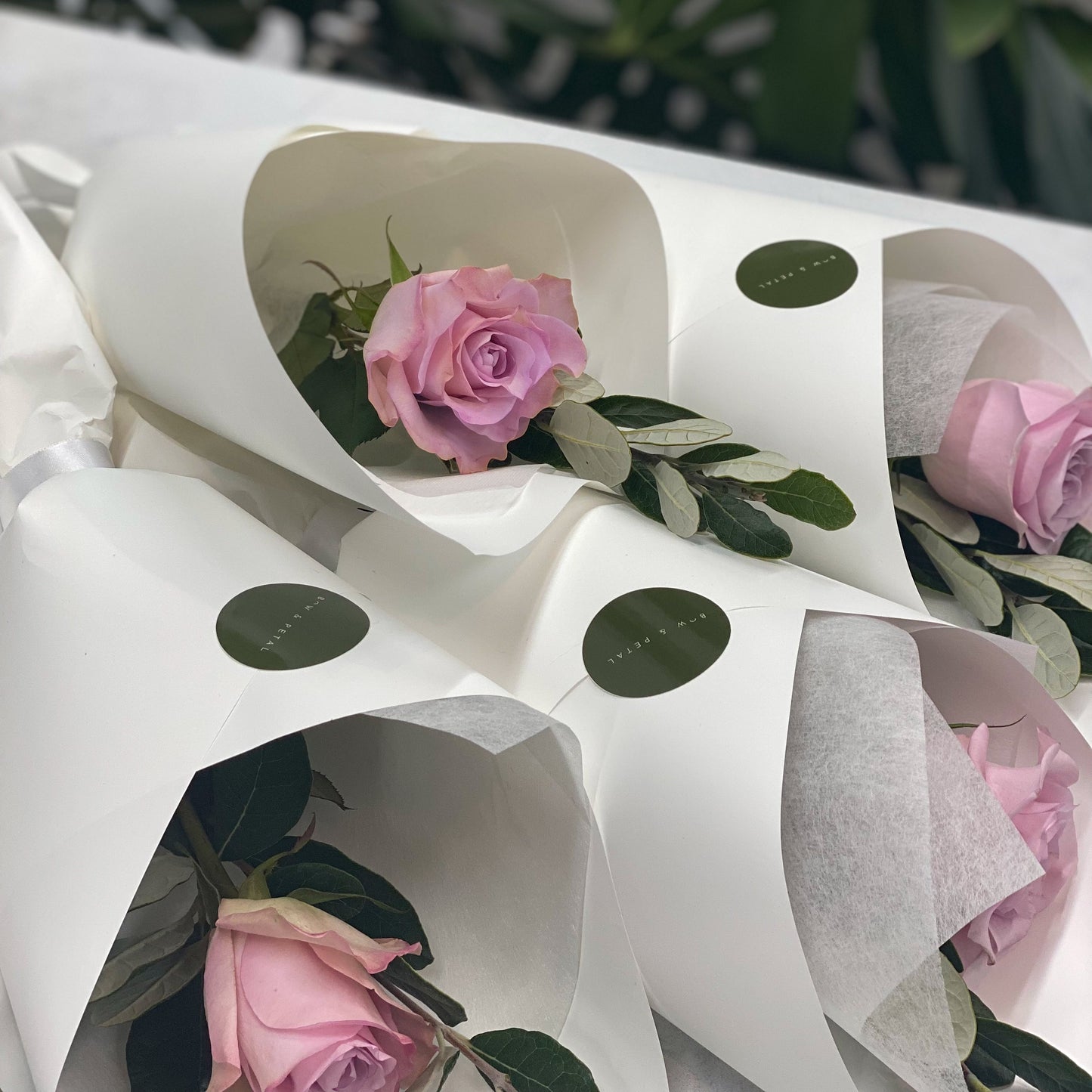Pink roses wrapped in white paper with green leaves on a blurred green background